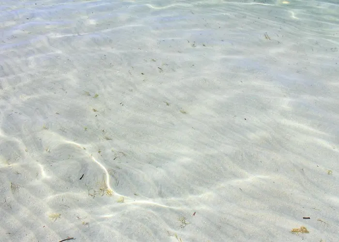 Apartament Rivabella D *