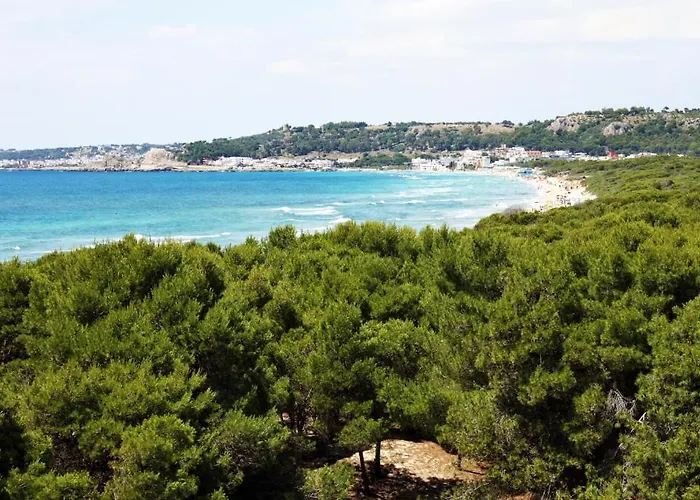 Apartament Rivabella D